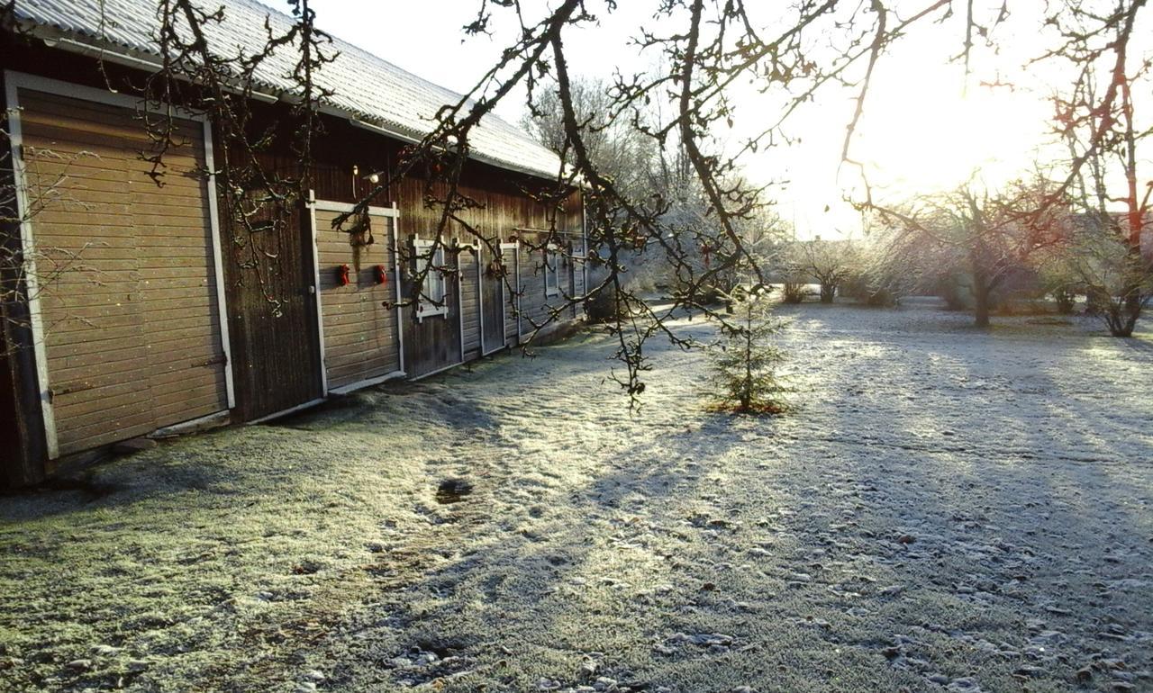 Draenggardens Stuga Pa Genuin Raettviksgard Boda  エクステリア 写真